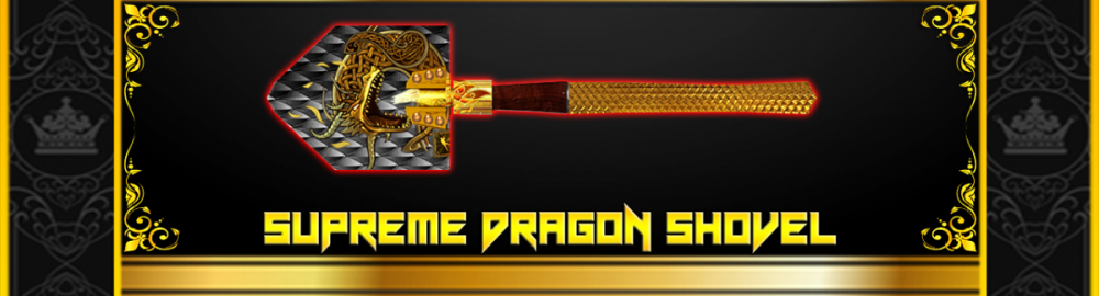 RS2.png