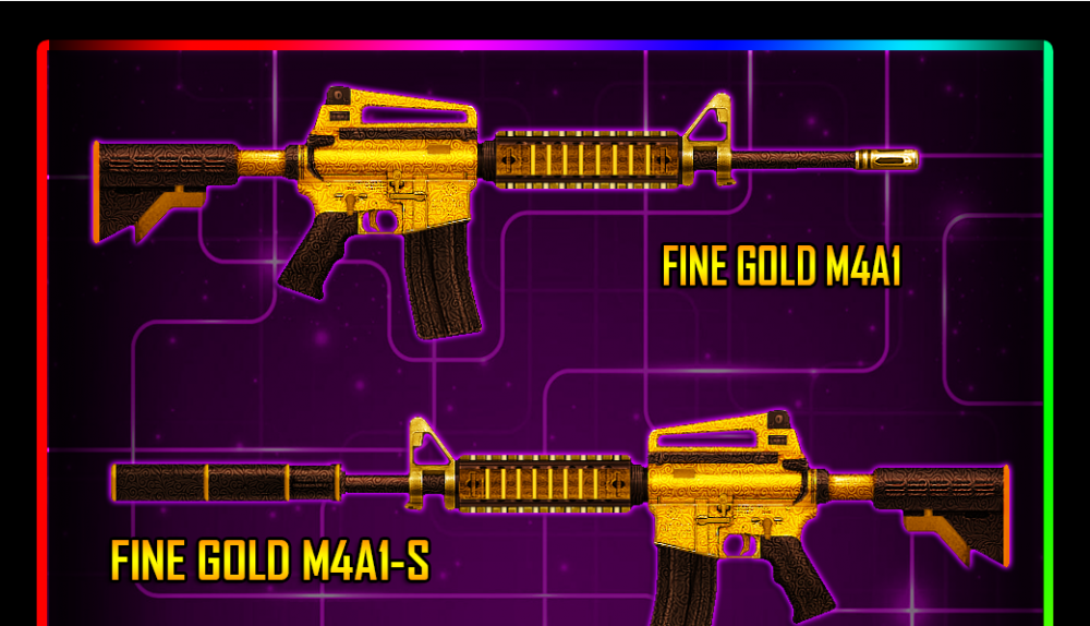 RB5.png