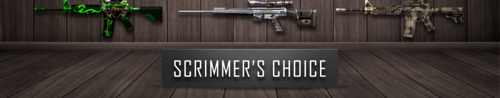 SC_3.png